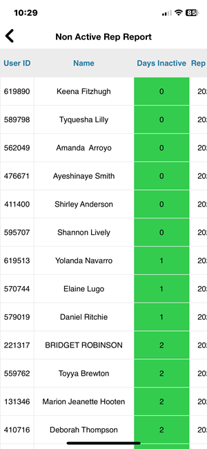 Non Active Rep Report
